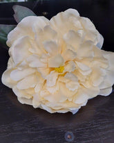 Capete de bujor artificial ivoire deschis – material textil, diametru 9 cm, lungime 26 cm